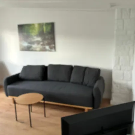 Neu Saniertes Penthouse Mit Offener Wohnküche Apartment