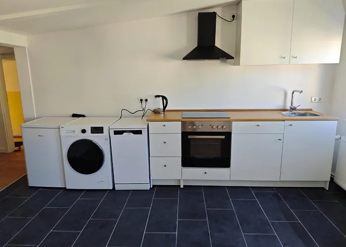 Neu Saniertes Penthouse Mit Offener Wohnkueche マクデブルク